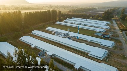 望江縣長江流域農(nóng)副產(chǎn)品冷鏈物流基地建設項目 推動農(nóng)業(yè)現(xiàn)代化與區(qū)域經(jīng)濟發(fā)展