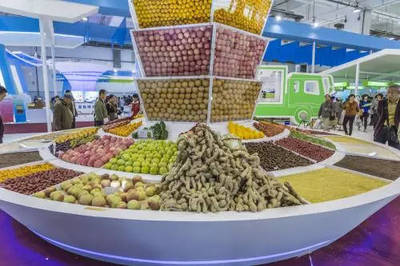 朋友圈中的農(nóng)產(chǎn)品銷售，責任歸屬誰承擔？