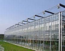 山東及濰坊地區(qū)連棟溫室大棚造價解析與農(nóng)副產(chǎn)品生產(chǎn)應(yīng)用