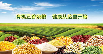 2019廣州有機展 引領健康生活新風尚，匯聚全球有機農副精品