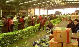 杭州農(nóng)副產(chǎn)品物流中心 長三角的“菜籃子”與流通樞紐